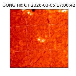 gong - 2026-03-05T17:00:42