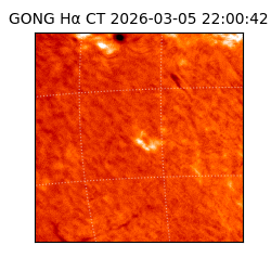 gong - 2026-03-05T22:00:42