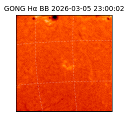 gong - 2026-03-05T23:00:02