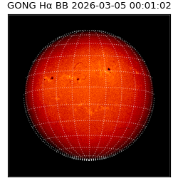 gong - 2026-03-05T00:01:02