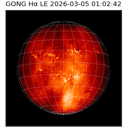 gong - 2026-03-05T01:02:42