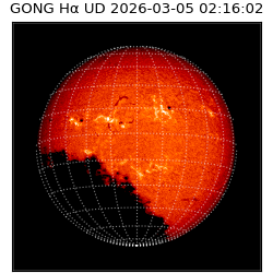 gong - 2026-03-05T02:16:02