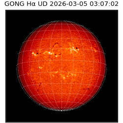 gong - 2026-03-05T03:07:02