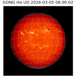 gong - 2026-03-05T08:00:02