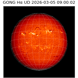 gong - 2026-03-05T09:00:02