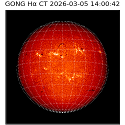 gong - 2026-03-05T14:00:42