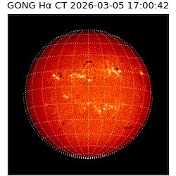 gong - 2026-03-05T17:00:42