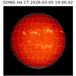 gong - 2026-03-05T19:00:42