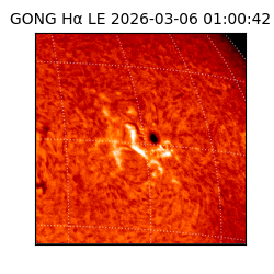 gong - 2026-03-06T01:00:42