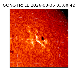 gong - 2026-03-06T03:00:42