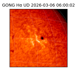 gong - 2026-03-06T06:00:02