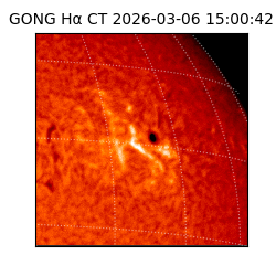 gong - 2026-03-06T15:00:42