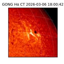 gong - 2026-03-06T18:00:42