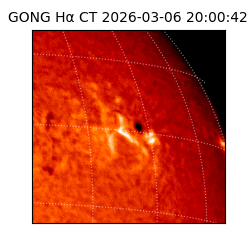 gong - 2026-03-06T20:00:42