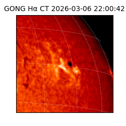 gong - 2026-03-06T22:00:42