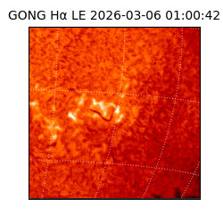 gong - 2026-03-06T01:00:42