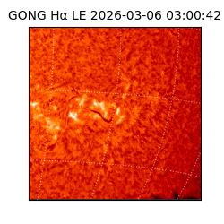 gong - 2026-03-06T03:00:42