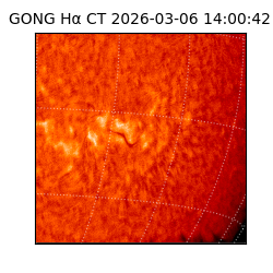 gong - 2026-03-06T14:00:42