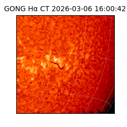 gong - 2026-03-06T16:00:42