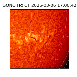 gong - 2026-03-06T17:00:42