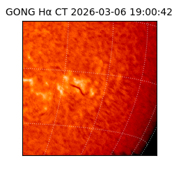 gong - 2026-03-06T19:00:42