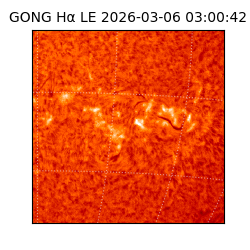 gong - 2026-03-06T03:00:42