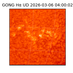 gong - 2026-03-06T04:00:02
