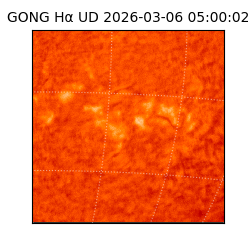 gong - 2026-03-06T05:00:02