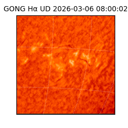 gong - 2026-03-06T08:00:02