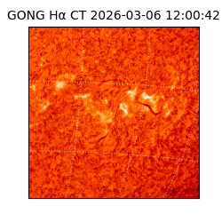 gong - 2026-03-06T12:00:42