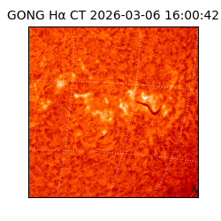 gong - 2026-03-06T16:00:42