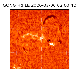 gong - 2026-03-06T02:00:42