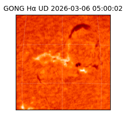 gong - 2026-03-06T05:00:02