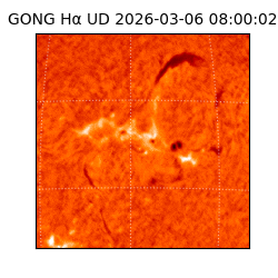gong - 2026-03-06T08:00:02