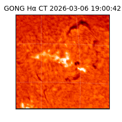 gong - 2026-03-06T19:00:42