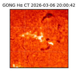 gong - 2026-03-06T20:00:42