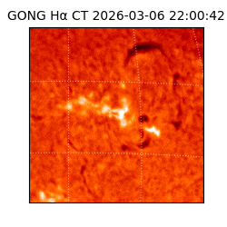 gong - 2026-03-06T22:00:42