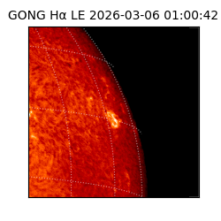 gong - 2026-03-06T01:00:42