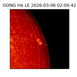 gong - 2026-03-06T02:00:42