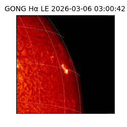gong - 2026-03-06T03:00:42