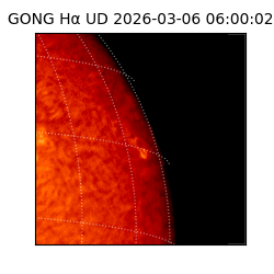 gong - 2026-03-06T06:00:02