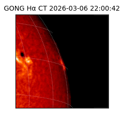 gong - 2026-03-06T22:00:42