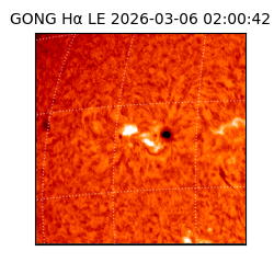 gong - 2026-03-06T02:00:42