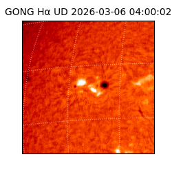 gong - 2026-03-06T04:00:02