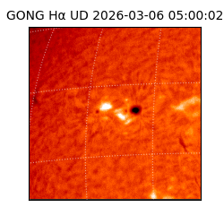 gong - 2026-03-06T05:00:02