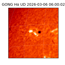 gong - 2026-03-06T06:00:02