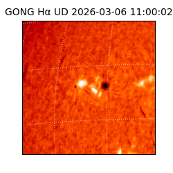gong - 2026-03-06T11:00:02