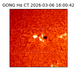 gong - 2026-03-06T16:00:42