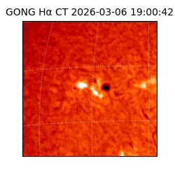 gong - 2026-03-06T19:00:42