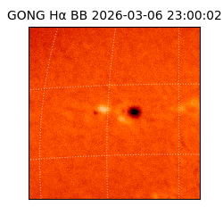 gong - 2026-03-06T23:00:02